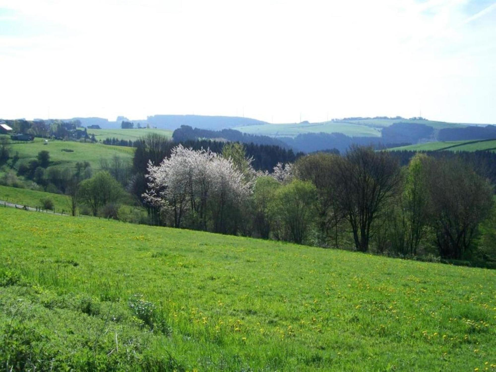 Holiday Home With Garden In Hellenthal Eifel Ngoại thất bức ảnh